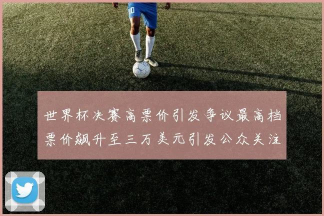 世界杯决赛高票价引发争议最高档票价飙升至三万美元引发公众关注